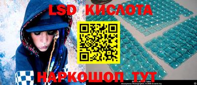 прущие грибы Новодвинск