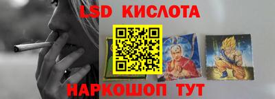 прущие грибы Новодвинск